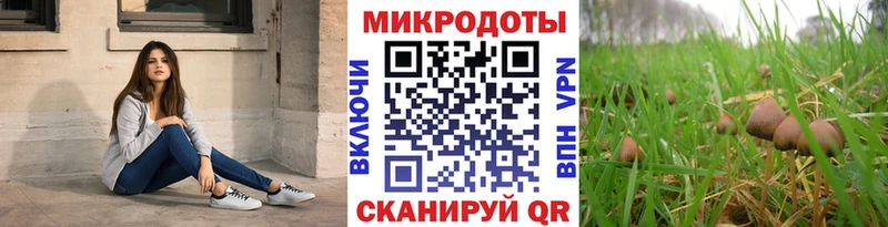 Галлюциногенные грибы прущие грибы  Верхняя Тура 